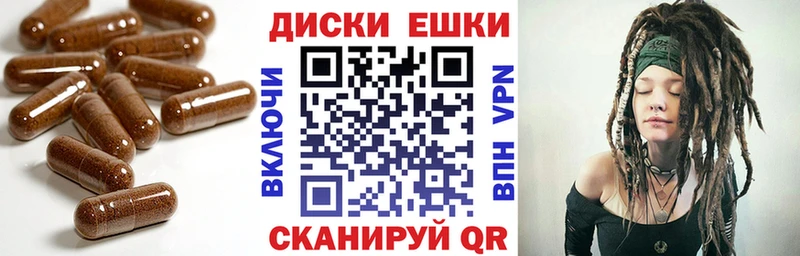 blacksprut как зайти  Котлас  Экстази louis Vuitton  закладка 