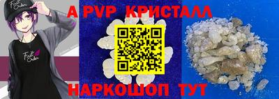 таблы Гусев