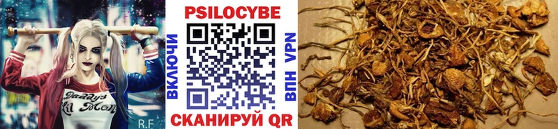 магазин продажи наркотиков  Котлас  Псилоцибиновые грибы GOLDEN TEACHER 