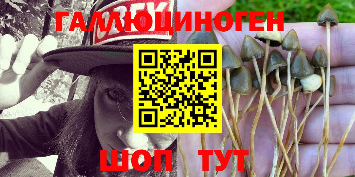 Псилоцибиновые грибы MAGIC MUSHROOMS Котлас