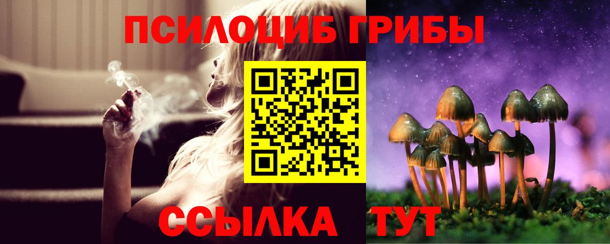 Псилоцибиновые грибы Psilocybe  Вход с VPN  Котлас  Псилоцибиновые грибы MAGIC MUSHROOMS 